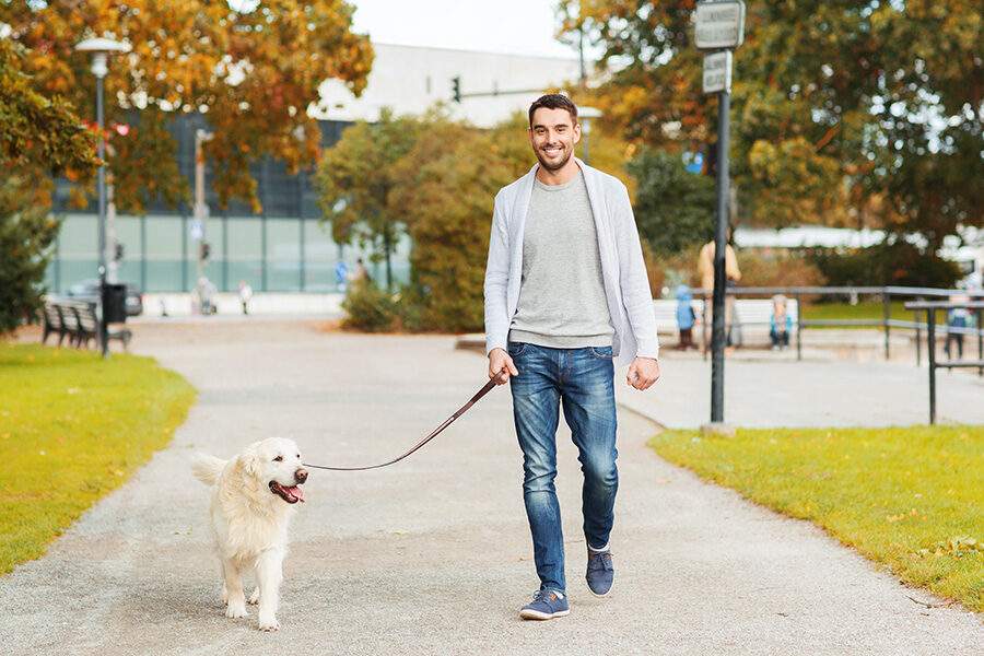 The Benefits of Socializing Your Dog