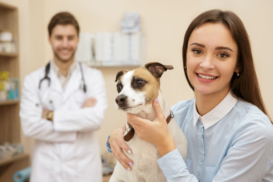 Top 6 Ways to Prepare Your Pet for Vet Visit