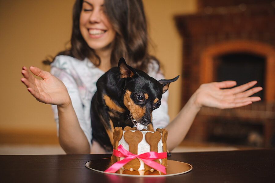 Summer DIY Treats For Dogs